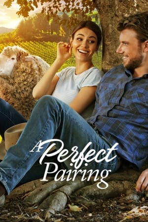 A Perfect Pairing (2022) Hindi Dual Audio – 480p