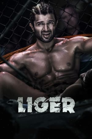 Liger 2022 Hindi (Cleaned) Dual Audio – 480p